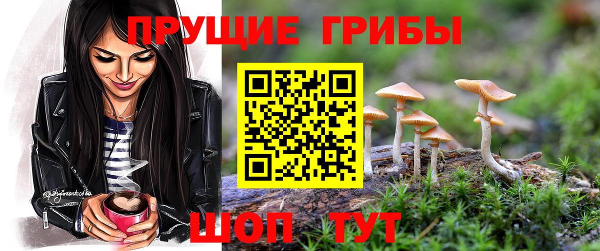 Галлюциногенные грибы мицелий Карпинск