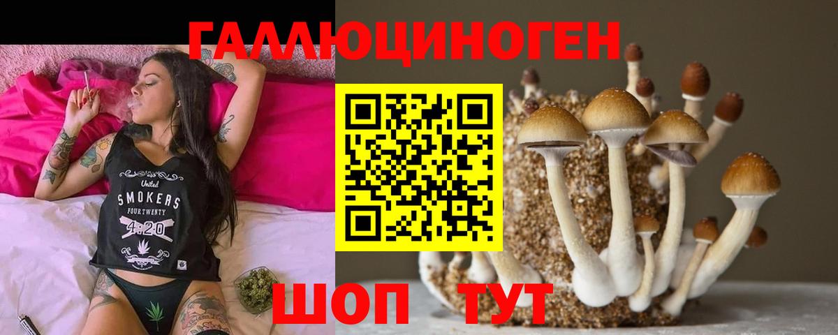 Карпинск  Псилоцибиновые грибы Psilocybe  Вход с VPN  Галлюциногенные грибы Psilocybine cubensis 